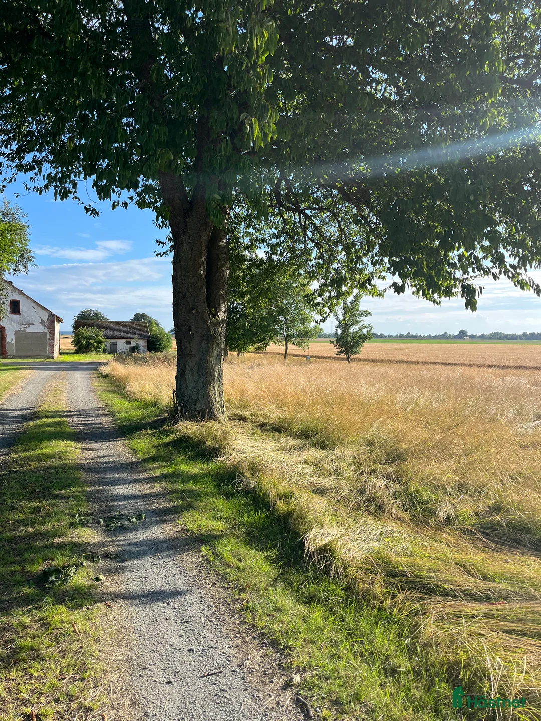  hästservice finnes: Lösdrift/sommarbete sommar 2026 nära Smygehuk - Annons 2