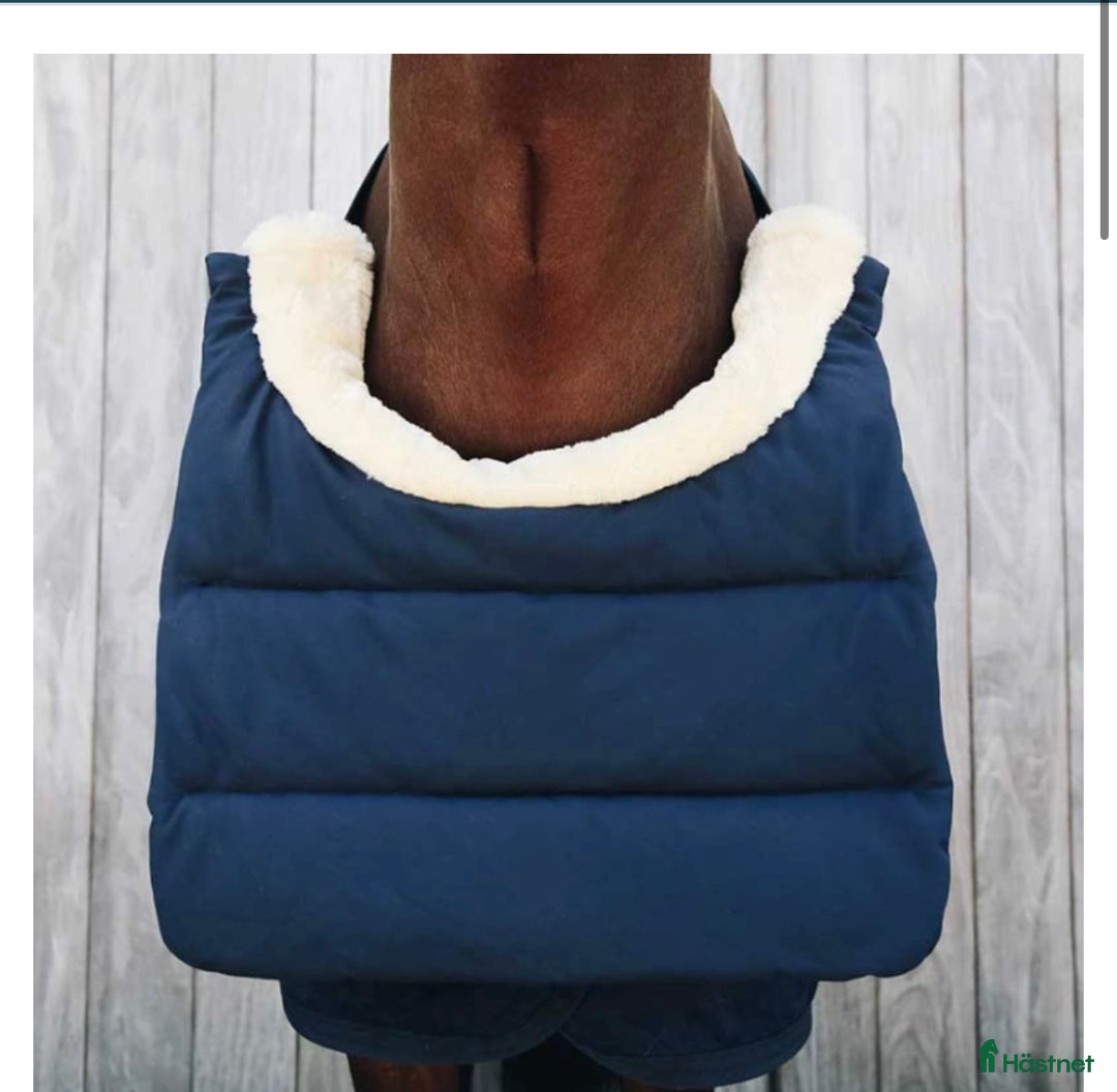 Täcken hästutrustning till salu: Kingsland, Dyon, Horsewear  i Skurup - Annons 3