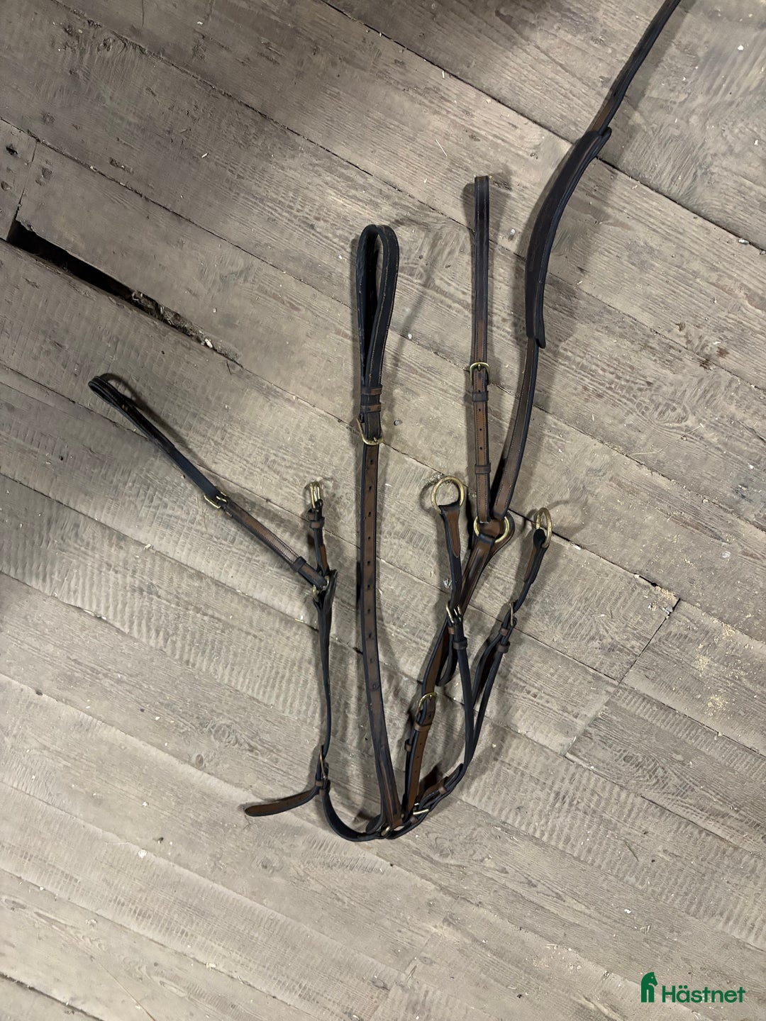 Träns hästutrustning till salu: Begagnad Bruno Delgrange förbygel med martingal i Karlstad - Annons 4