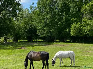 stallplats Stallplats ledig -Ljungsbro - Annons 2