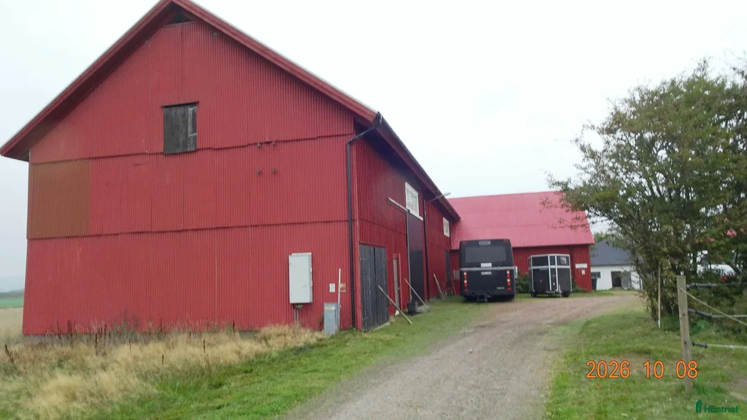 hästgårdar till salu: Hästgård uthyres – 15 km norr om Halmstad i Haverdal - Annons 4