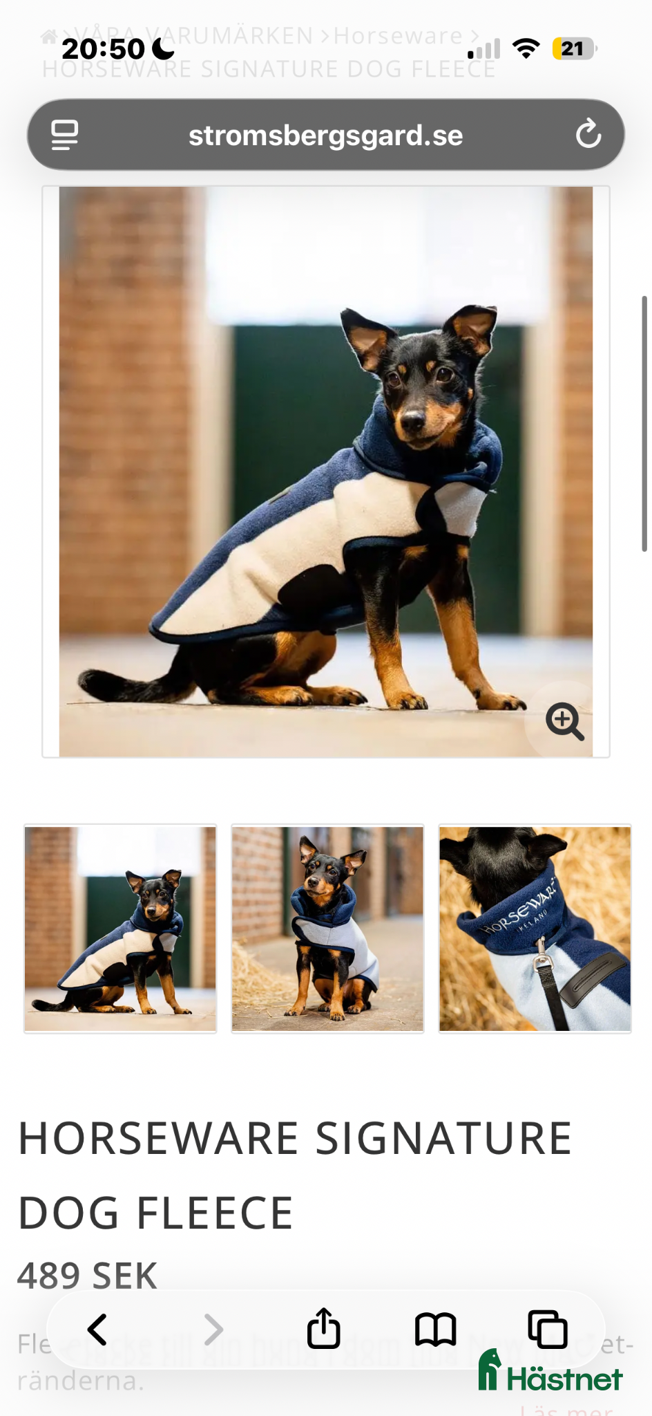 Övrig utrustning övrig utrustning till salu: Horseware hund - Annons 4