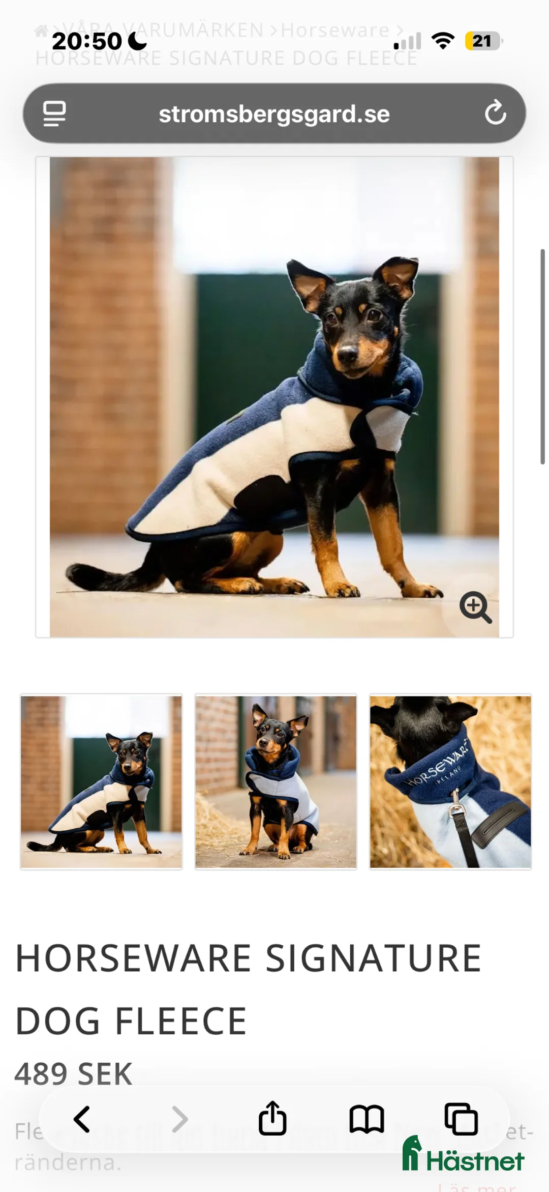 Övrig utrustning övrig utrustning till salu: Horseware hund - Annons 1