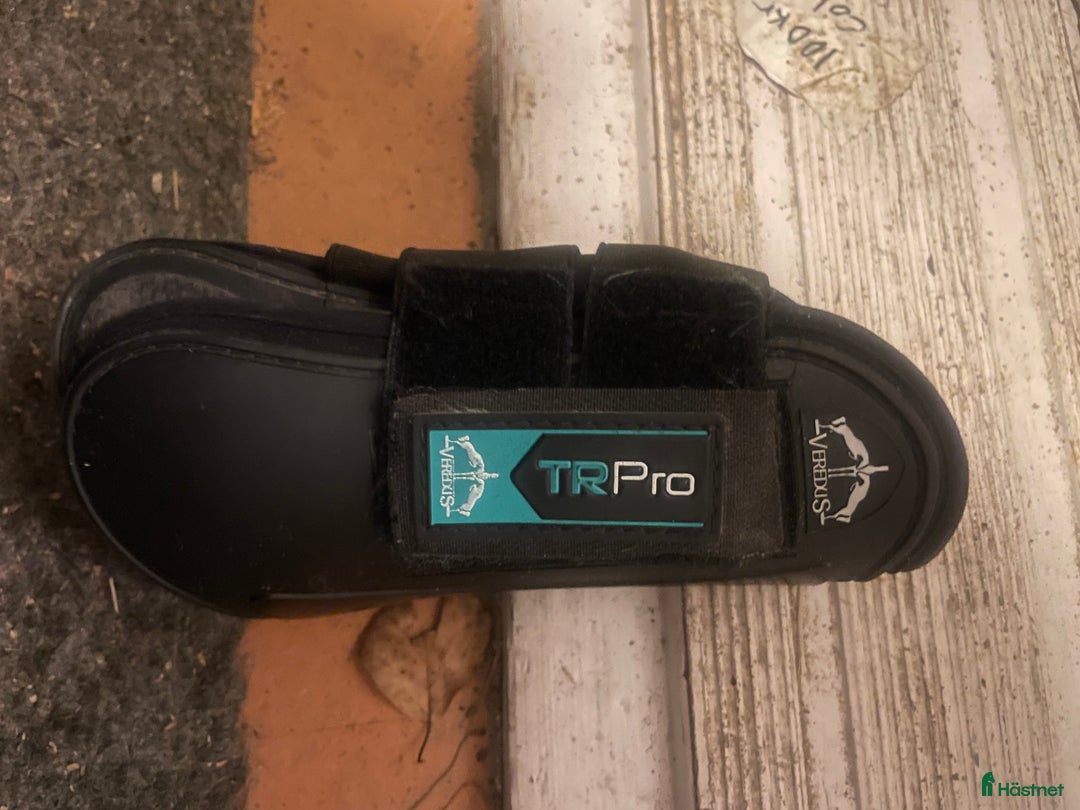 Benskydd hästutrustning till salu: Superfina senskydd från veredus!! i Gävle - Annons 1