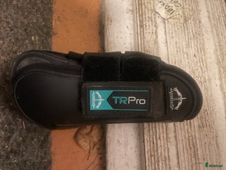 Benskydd hästutrustning till salu: Superfina senskydd från veredus!! i Gävle - Annons 21