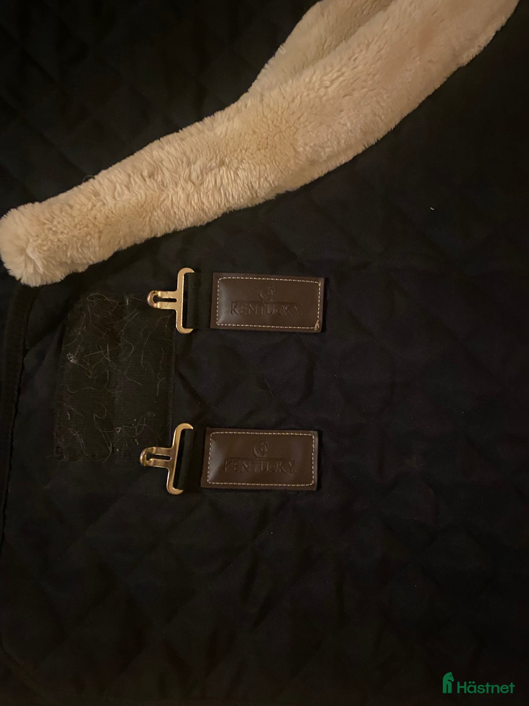 Täcken hästutrustning till salu: Kentucky täcke  i Lindome - Annons 3