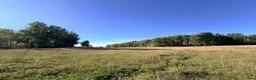  stallplats finnes: Islandshäststall - Stallplats eller hela stallet - Annons 6