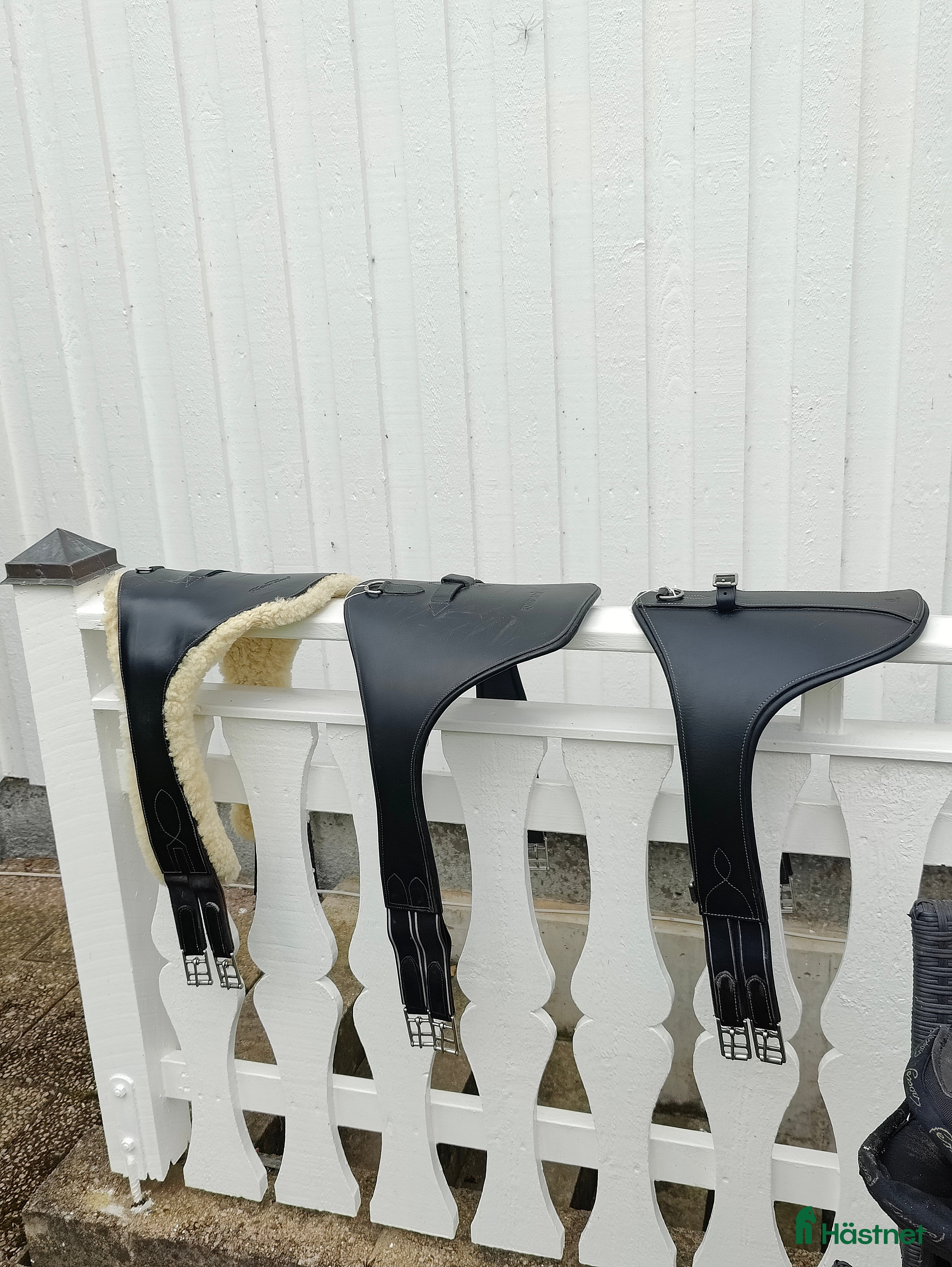 Sadeltillbehör hästutrustning till salu: Märkessadelgjordar  i Ängelholm - Annons 11