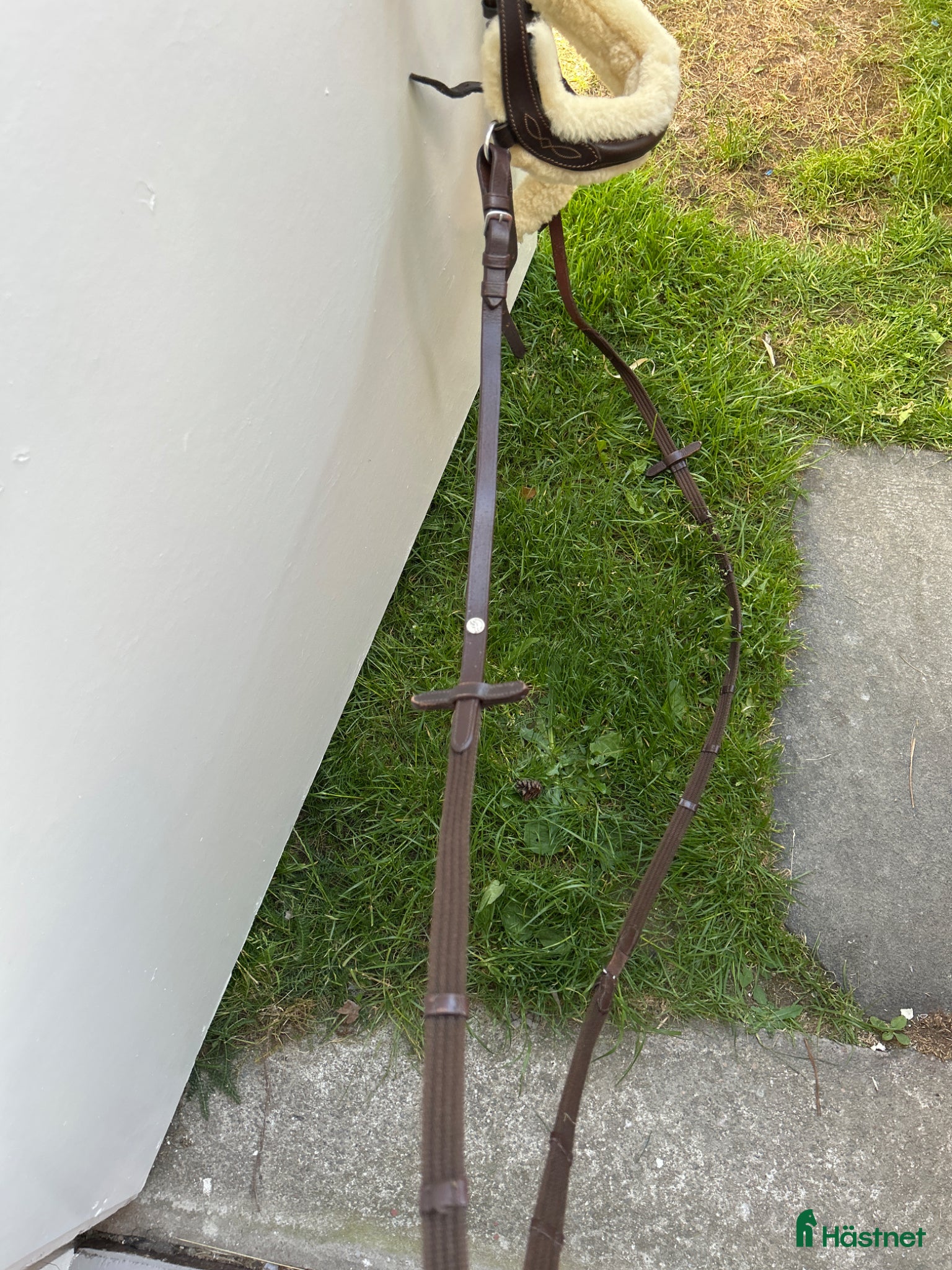 Träns hästutrustning Fin träns! - Annons 1