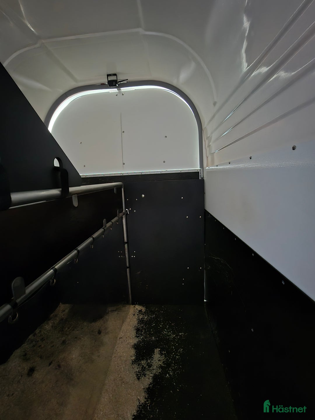 Hästtransporter  fordon & transport till salu: Forzab Futuro SEH 26 säljes - Annons 5