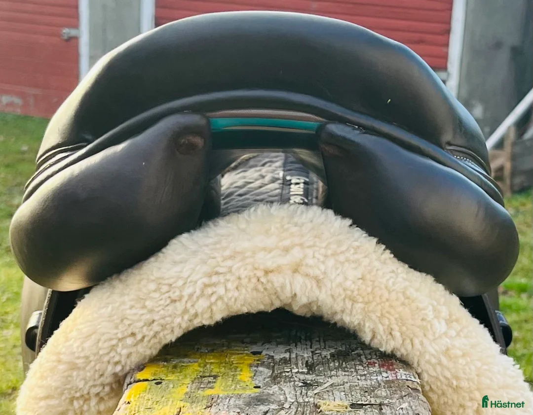 Sadlar hästutrustning till salu: Voltaire Palm Beach Sprangsal - Annons 8