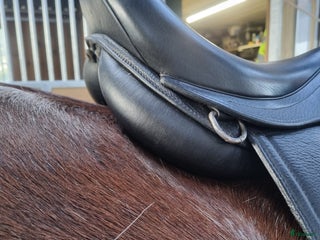 Sadlar hästutrustning till salu: Karlslund i Halmstad - Annons 8