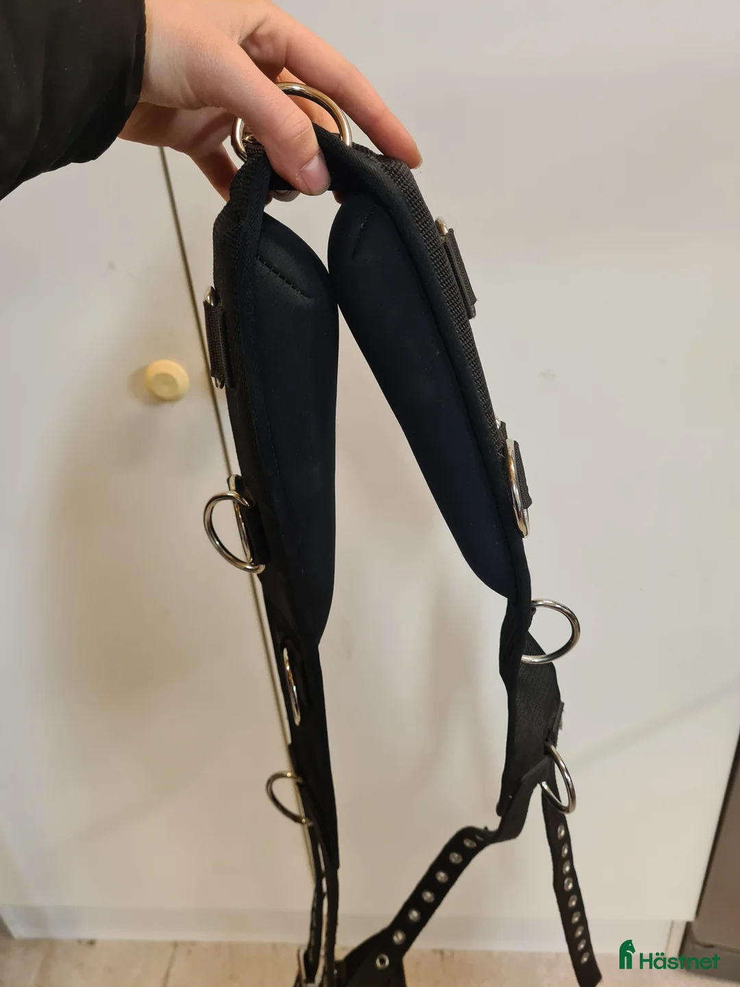 Övrig Hästutrustning hästutrustning till salu: Longerings/tömkörningsgjord cob - Annons 3