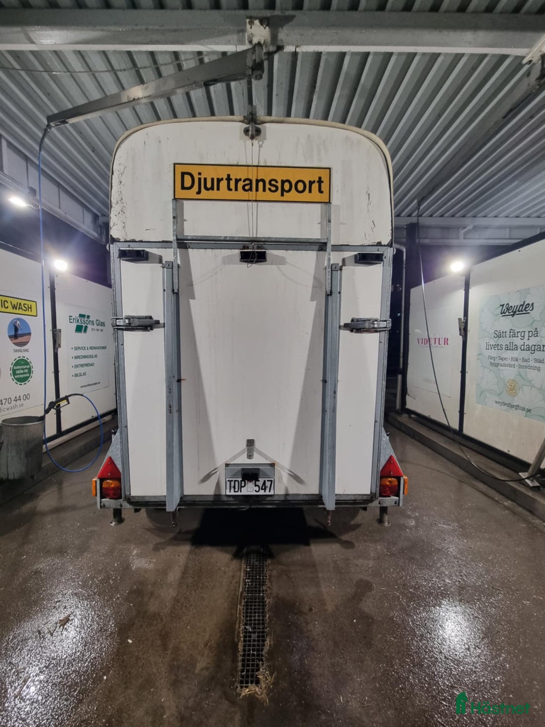 Hästtransporter  fordon & transport till salu: Hästtransport i Norrköping - Annons 2