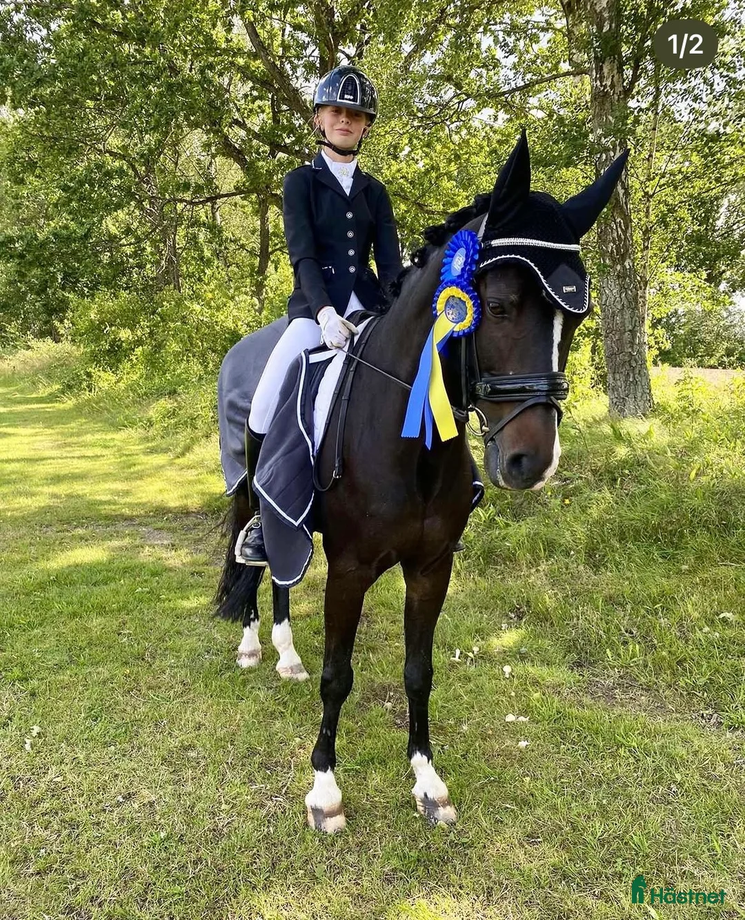 Dressyr hästar till salu: D-ponny  i Falkenberg - Annons 2