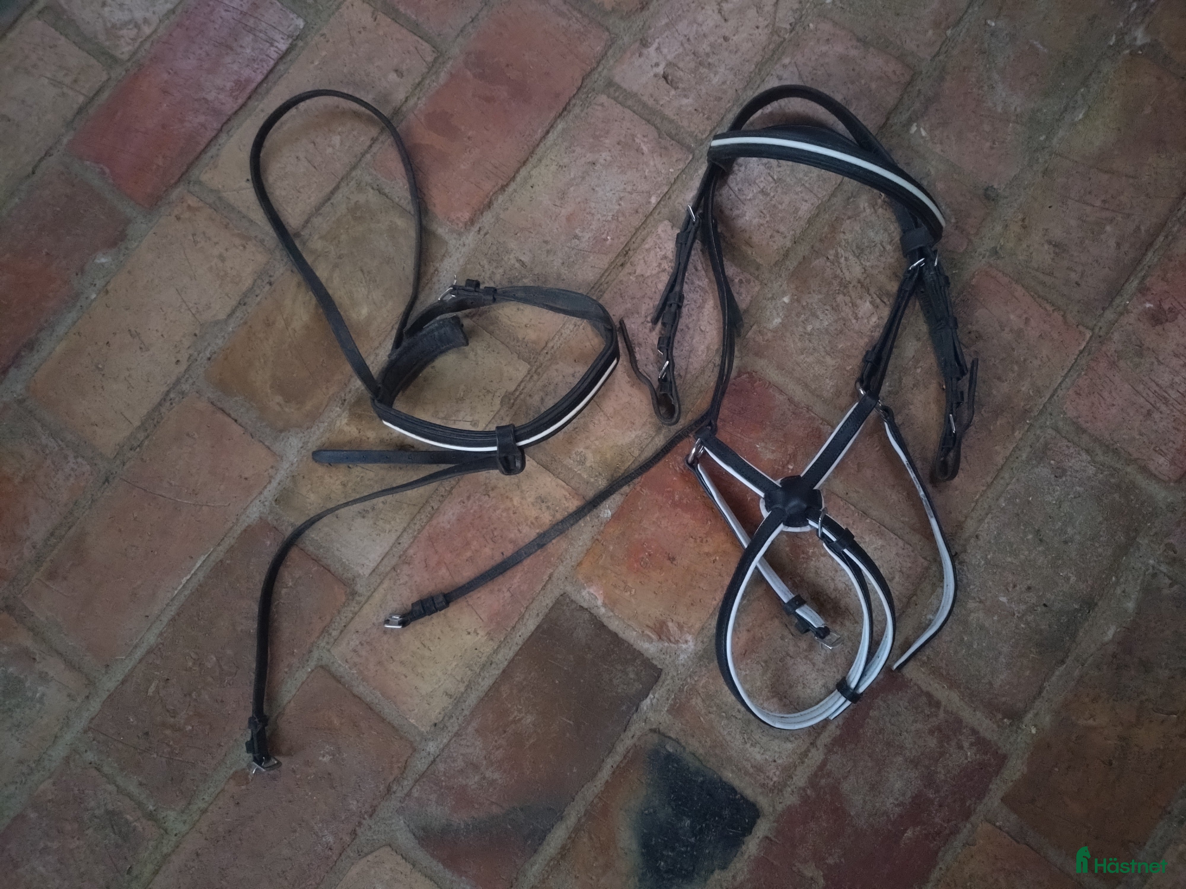Träns hästutrustning Svart ponny träns  i Simrishamn - Annons 1