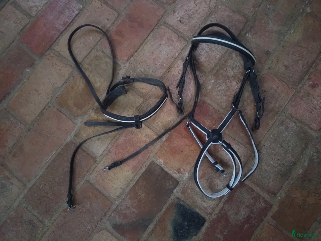 Träns hästutrustning till salu: Svart ponny träns  i Simrishamn - Annons 1
