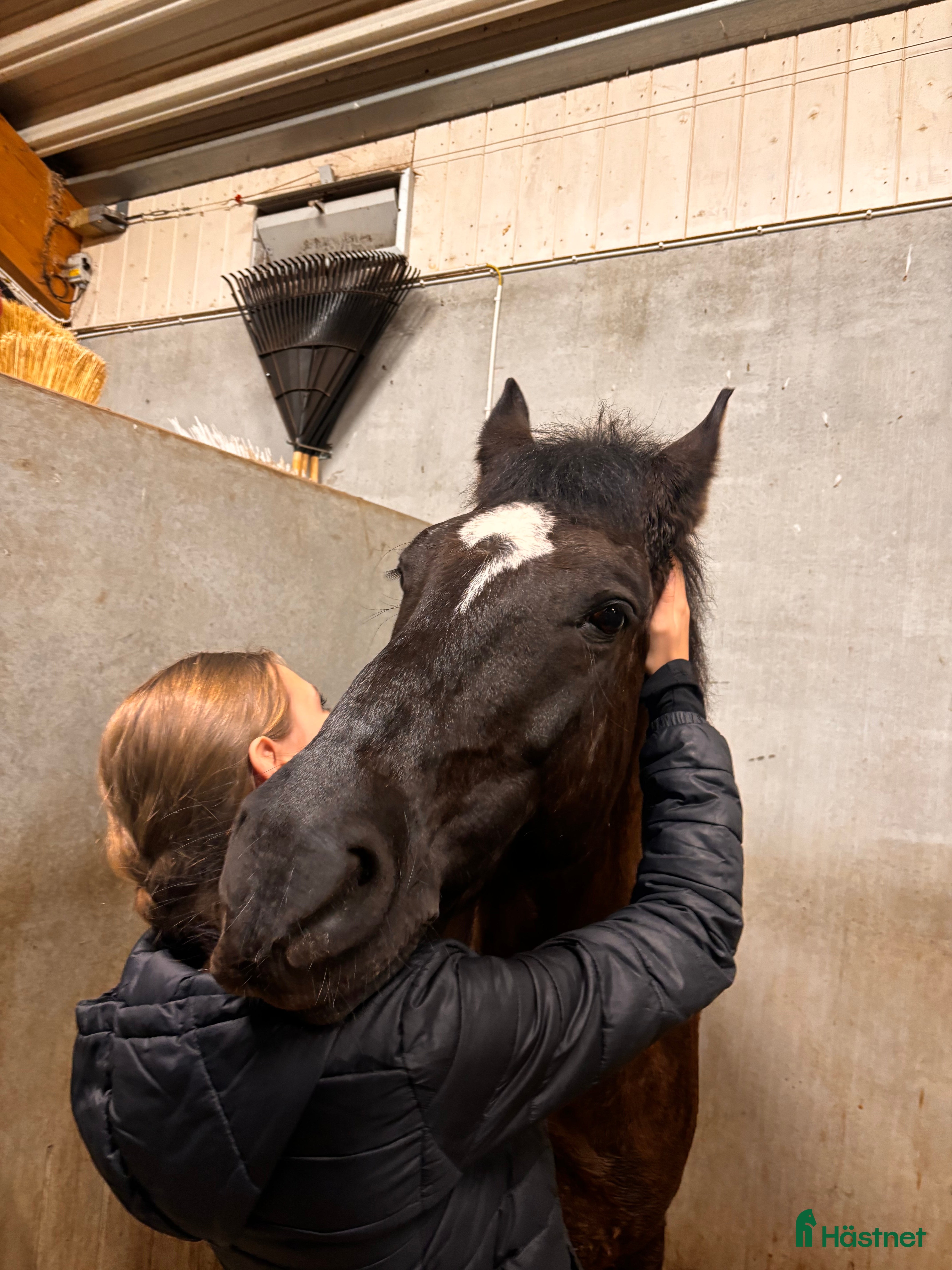  medryttarhäst sökes: Jag söker medryttarhästen som söker efter mig!💗 - Annons 18