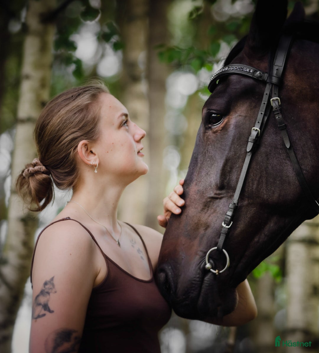 Galleribild {{count}}