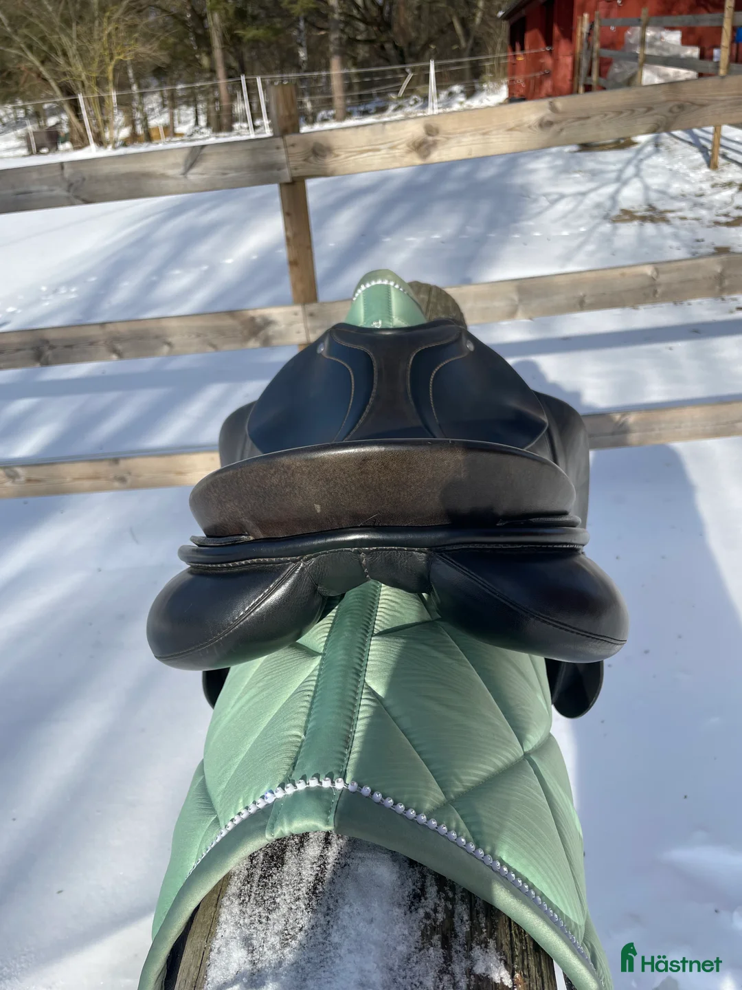 Sadlar hästutrustning till salu: Skön Hoppsadel - Annons 2