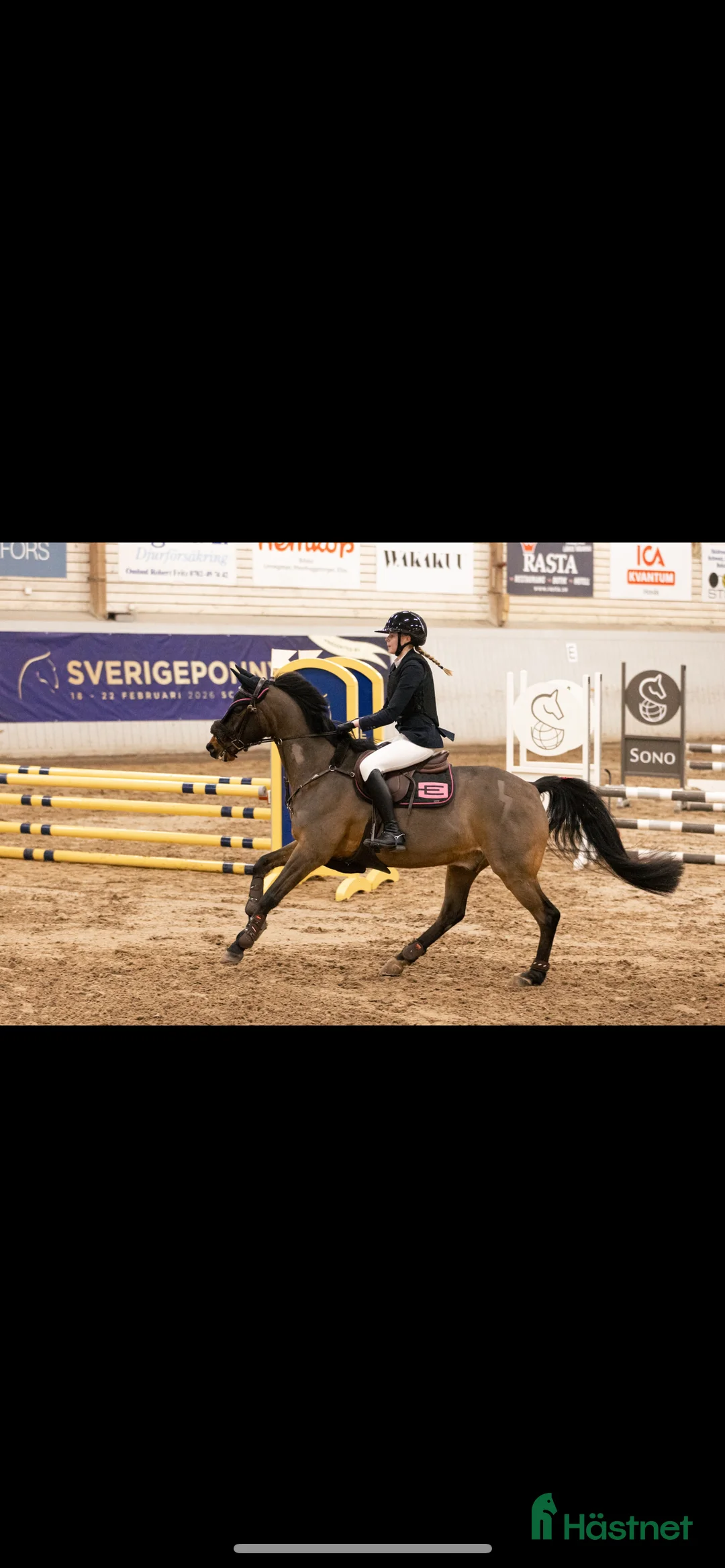  hästservice finnes: Inridning, tillridning och utbildning av ponnys  i Lerum - Annons 2