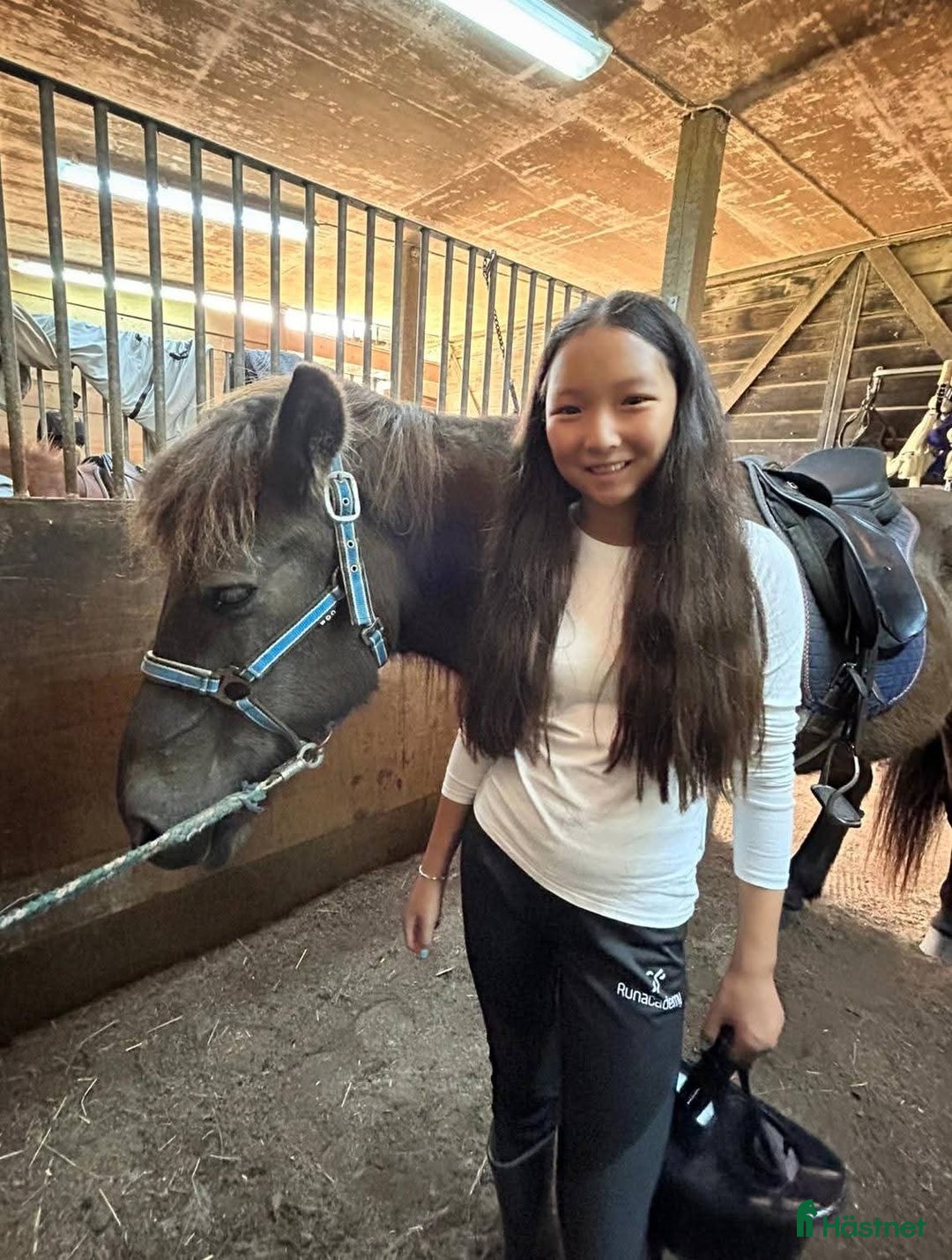  medryttarhäst finnes: Söker 2 hästar runt Västerhaninge  i Västerhaninge - Annons 5