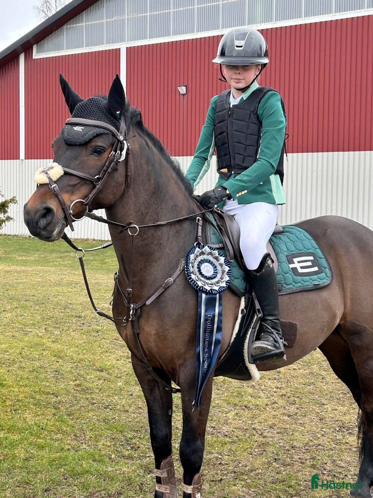  hästar Fantastisk C-ponny!  - Annons 1