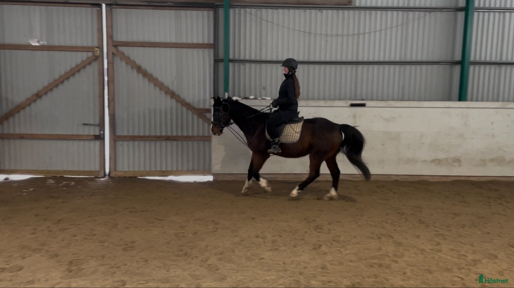  hästar 🌿 Familj söker trygg häst 🌿 - Annons 2