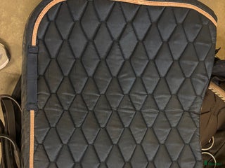 Schabrak & Vojlockar hästutrustning till salu: Glen Gordon shabrak i Stockholm - Annons 8