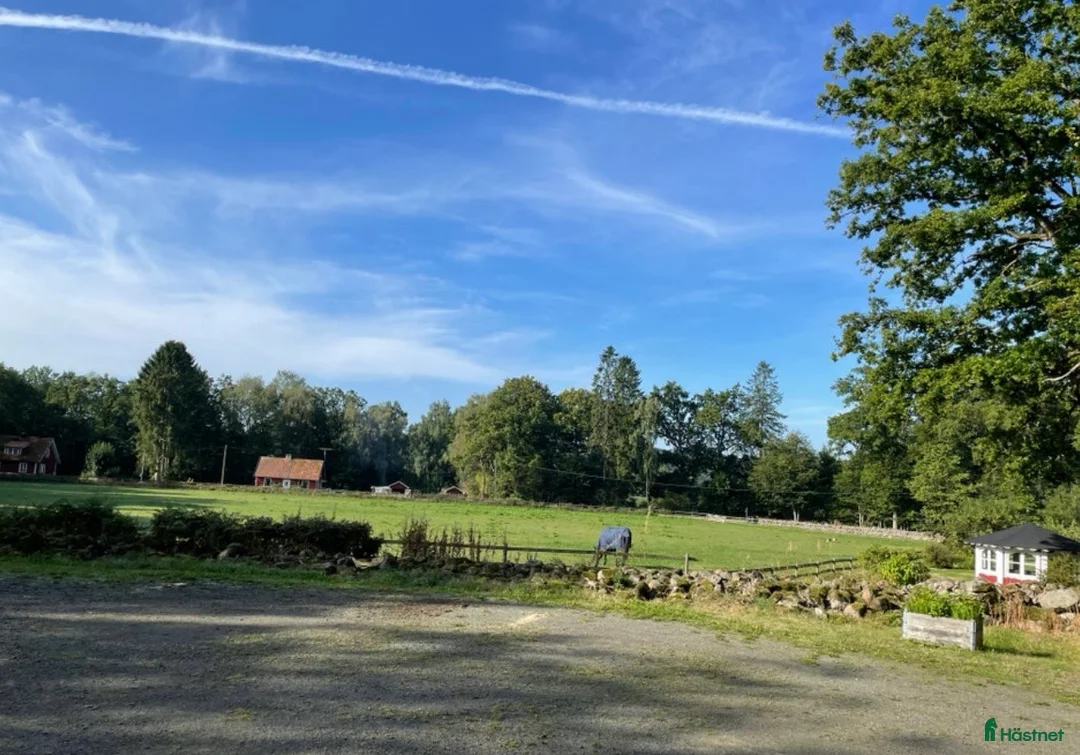  stallplats finnes: Två boxplatser på stall Rydbolund i Tollarp - Annons 2