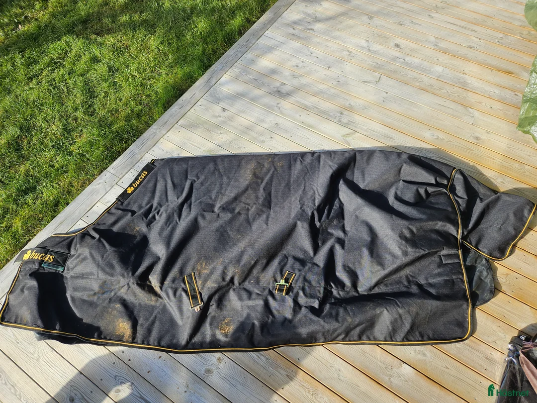 Täcken hästutrustning till salu: Bucas täcken - Annons 1