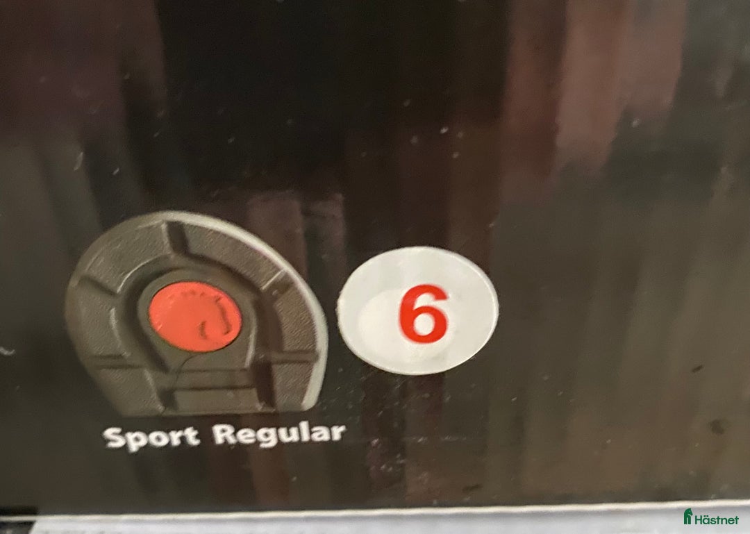 Övrig Hästutrustning hästutrustning till salu: Cavallo sport boot i Alunda - Annons 4