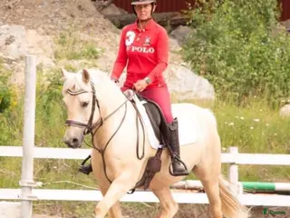 medryttarhäst sökes: Medryttare Nykvarn - Annons 1