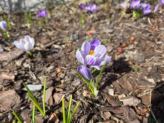 stallplats Stallplatser - Annons 2