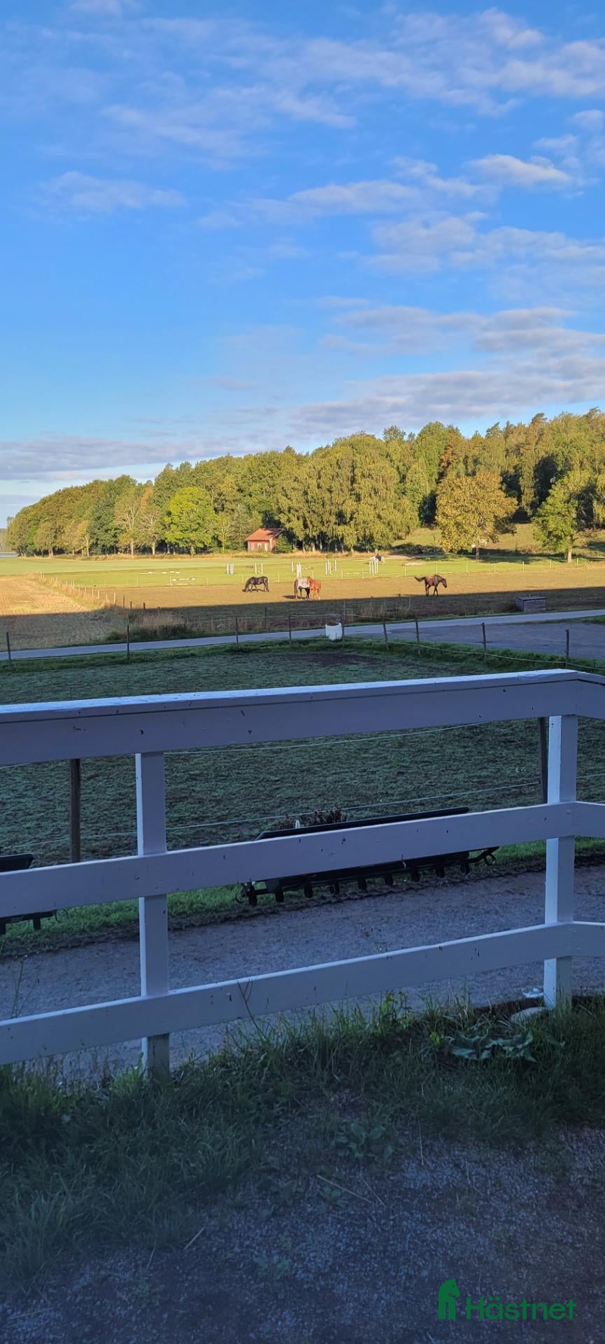  stallplats finnes: Stallplats på komplett anläggning - Annons 8