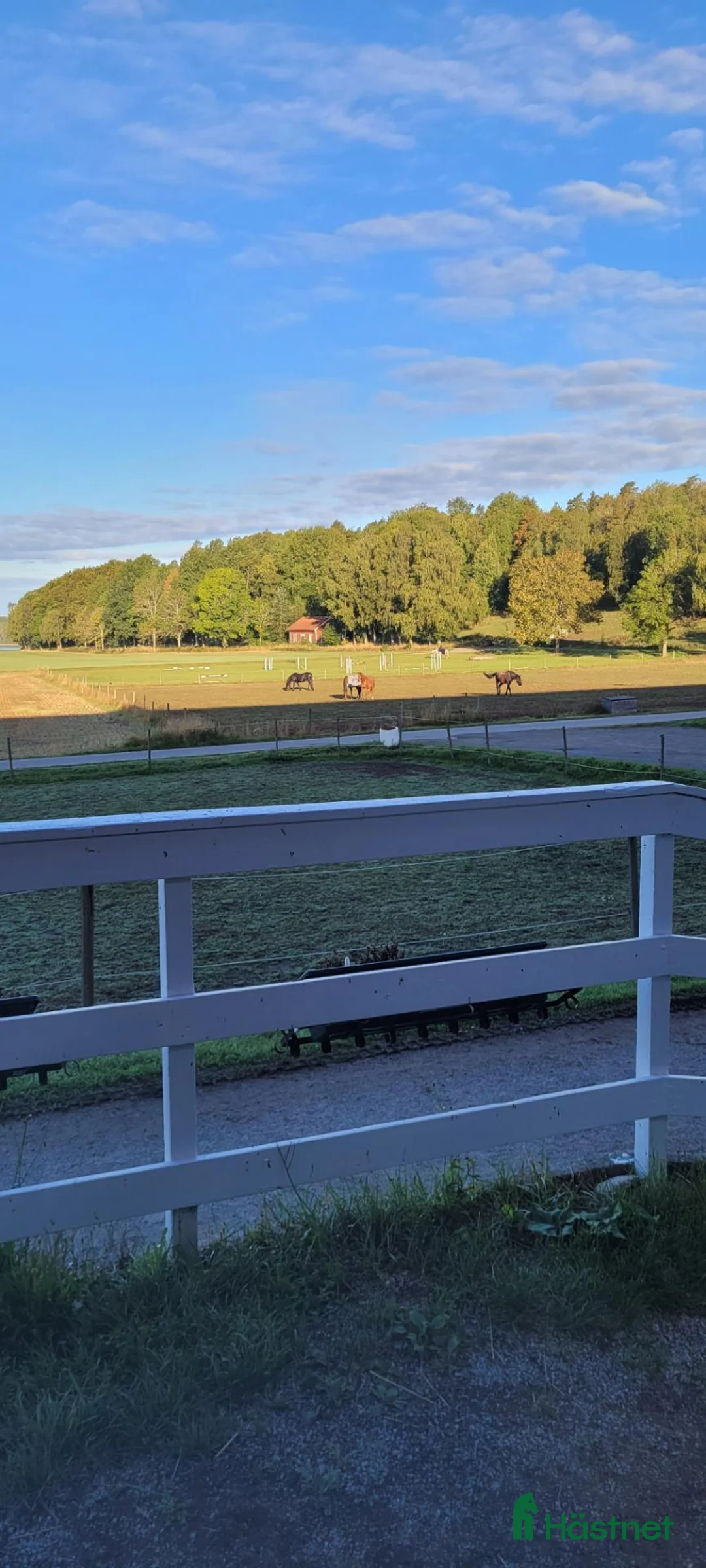  stallplats finnes: Stallplats på komplett anläggning - Annons 1
