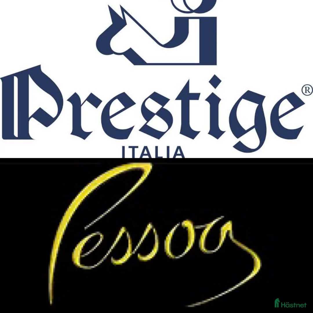 Sadlar hästutrustning till salu: Ønskes kjøpt; Prestige / Pessoa sadel i Mosby - Annons 1