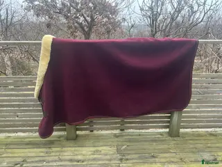 Täcken hästutrustning Kentucky heavy fleece - Annons 23