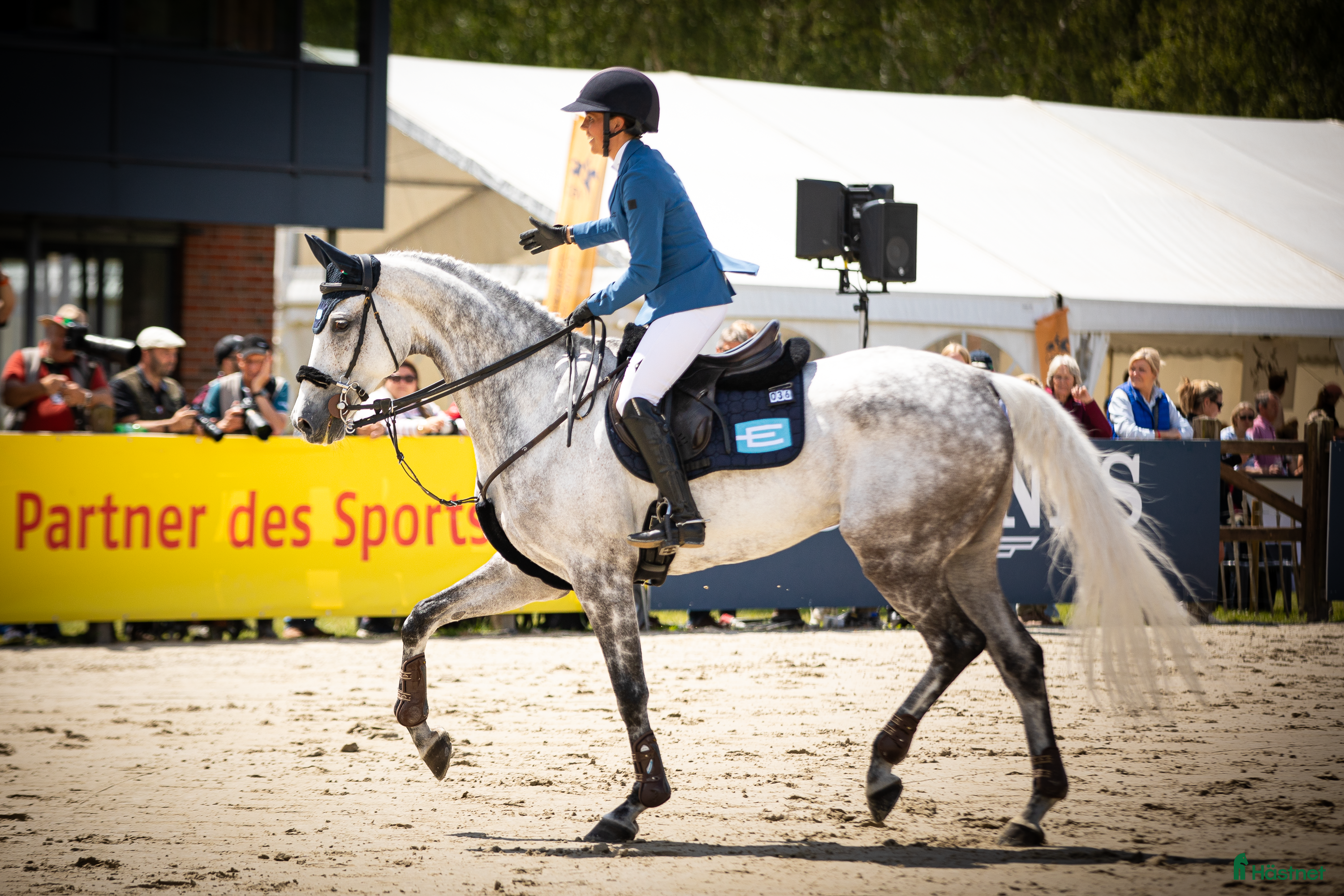  hästjobb Aupair/Stallhjälp/Ridhjälp sökes i Dösjebro - Annons 6