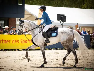 hästjobb Aupair/Stallhjälp/Ridhjälp sökes i Dösjebro - Annons 14