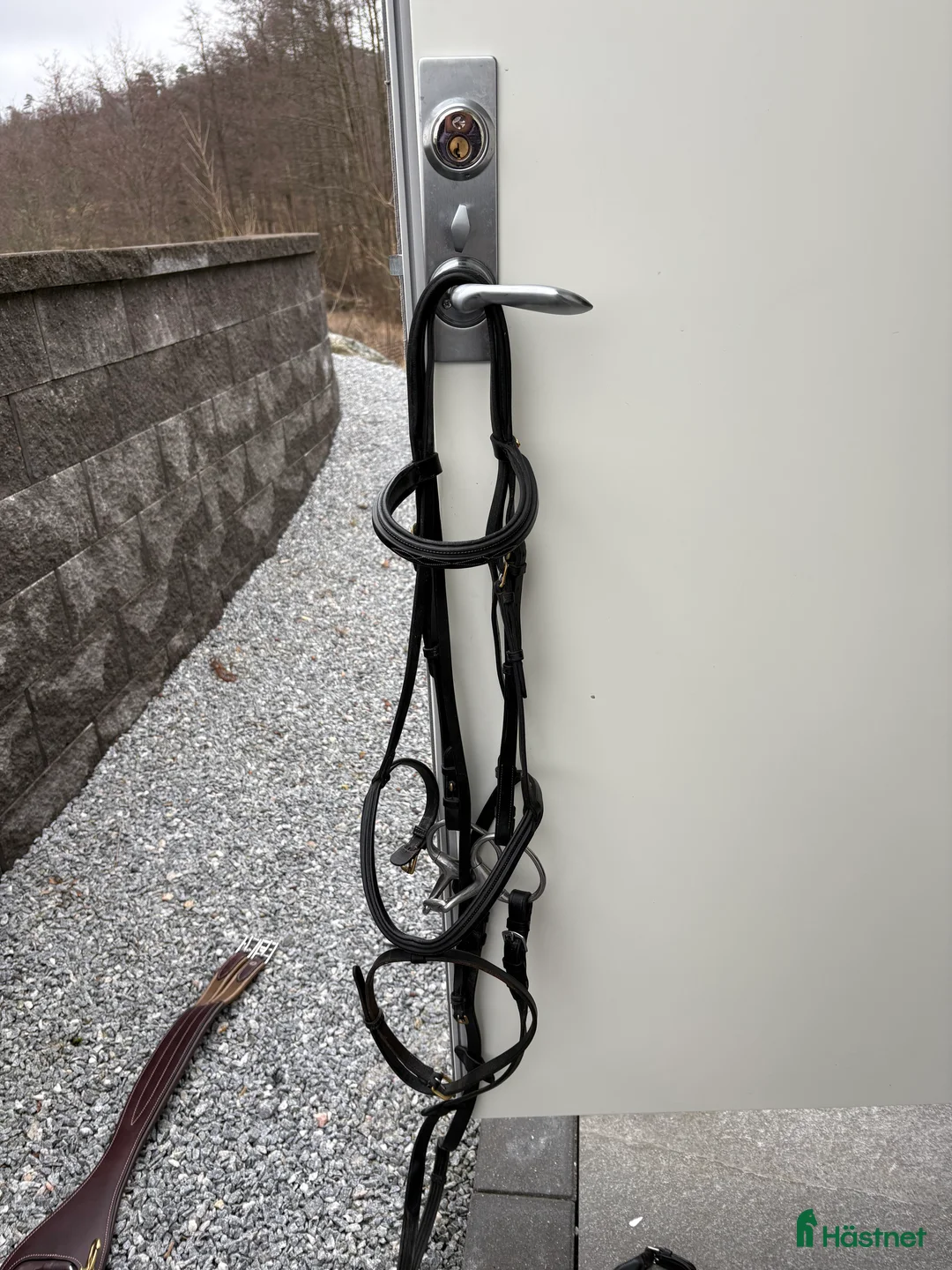 Träns hästutrustning till salu: Svart träns till salu - Annons 2