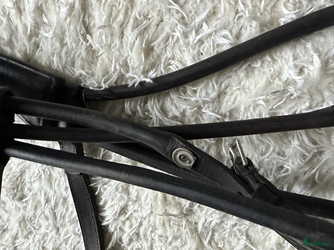 Träns hästutrustning till salu: Otto Schumacher - brunt rundsytt träns i Stockholm - Annons 3