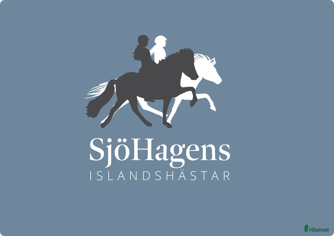 Galleribild {{count}}