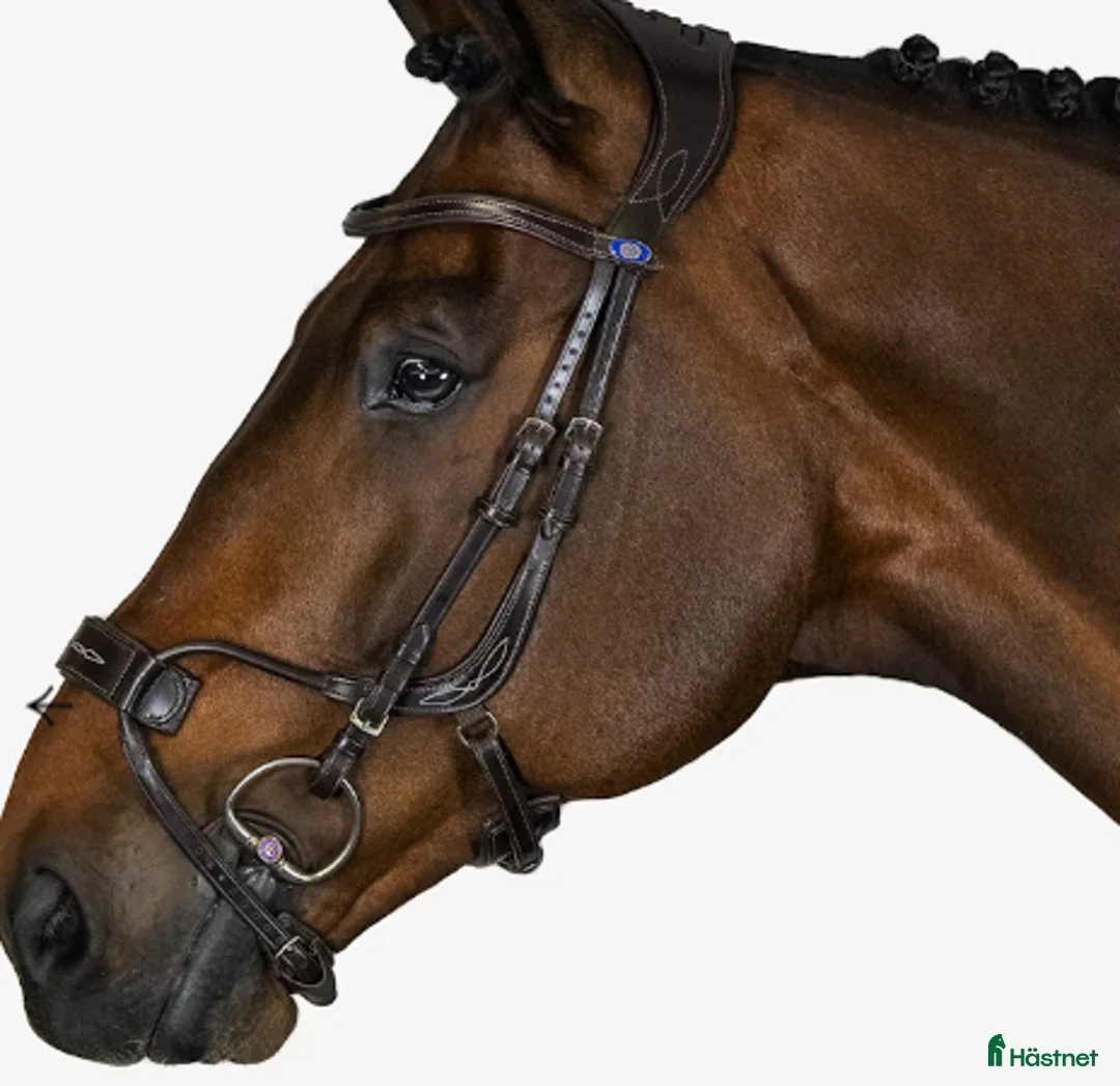 Träns hästutrustning till salu: PS High Jump - Annons 1