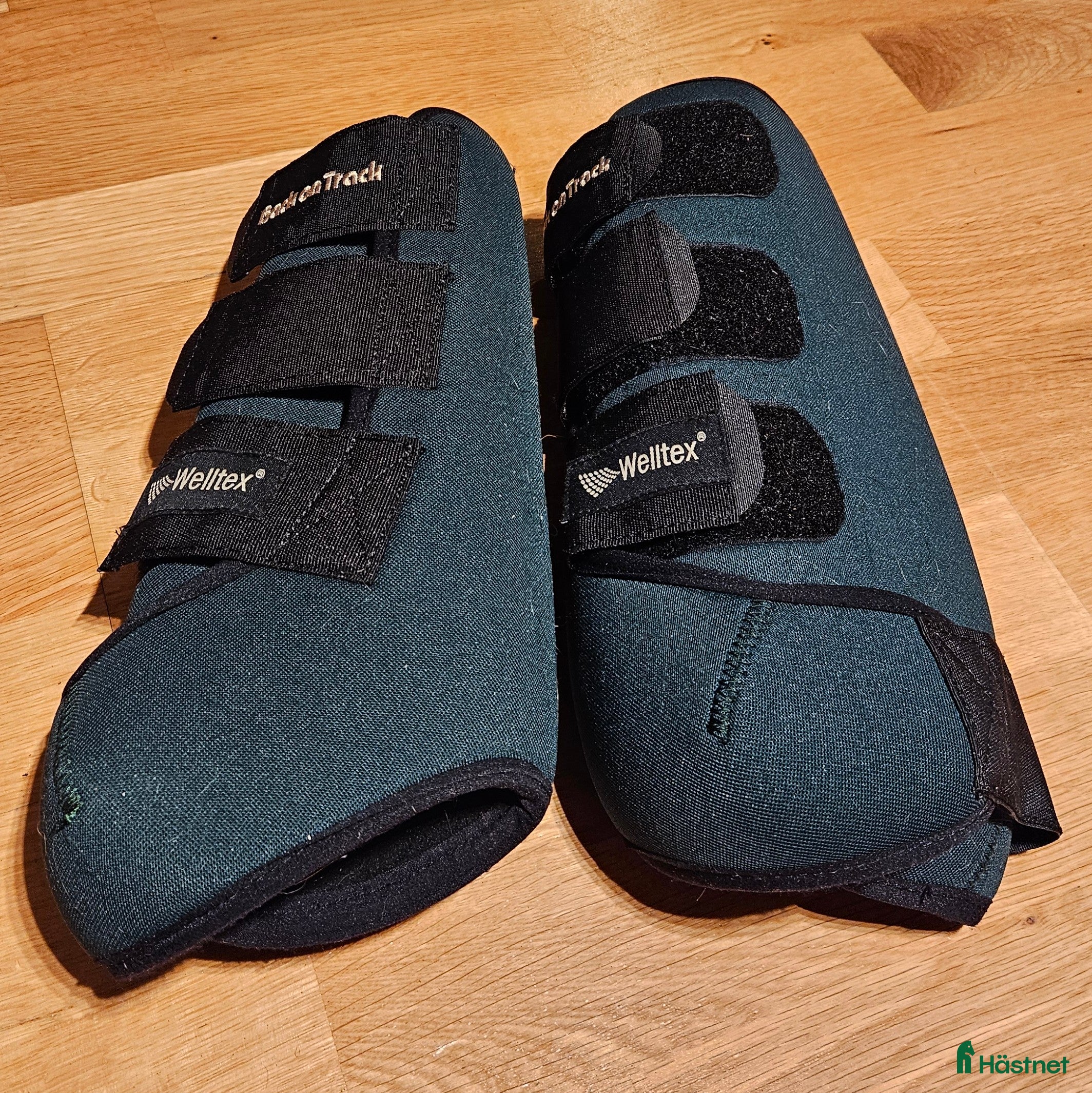 Benskydd hästutrustning Back on Track Opal, L i Solna - Annons 7