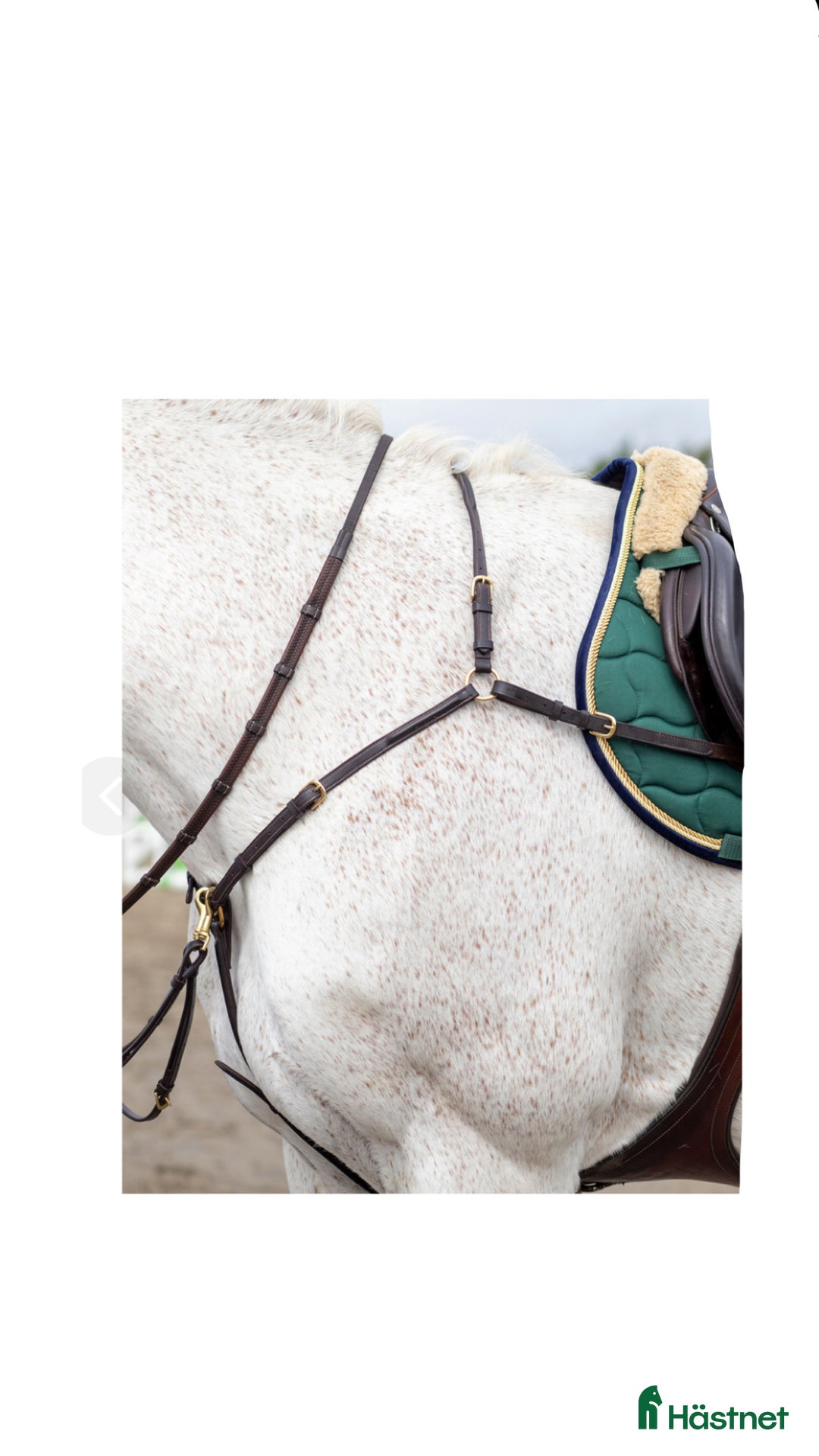 Övrig Hästutrustning hästutrustning till salu: Förbygel med avtagbar martingal i Edsbruk - Annons 1