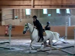 medryttarhäst sökes: Söker medryttarhäst i gbg i Mölndal - Annons 17