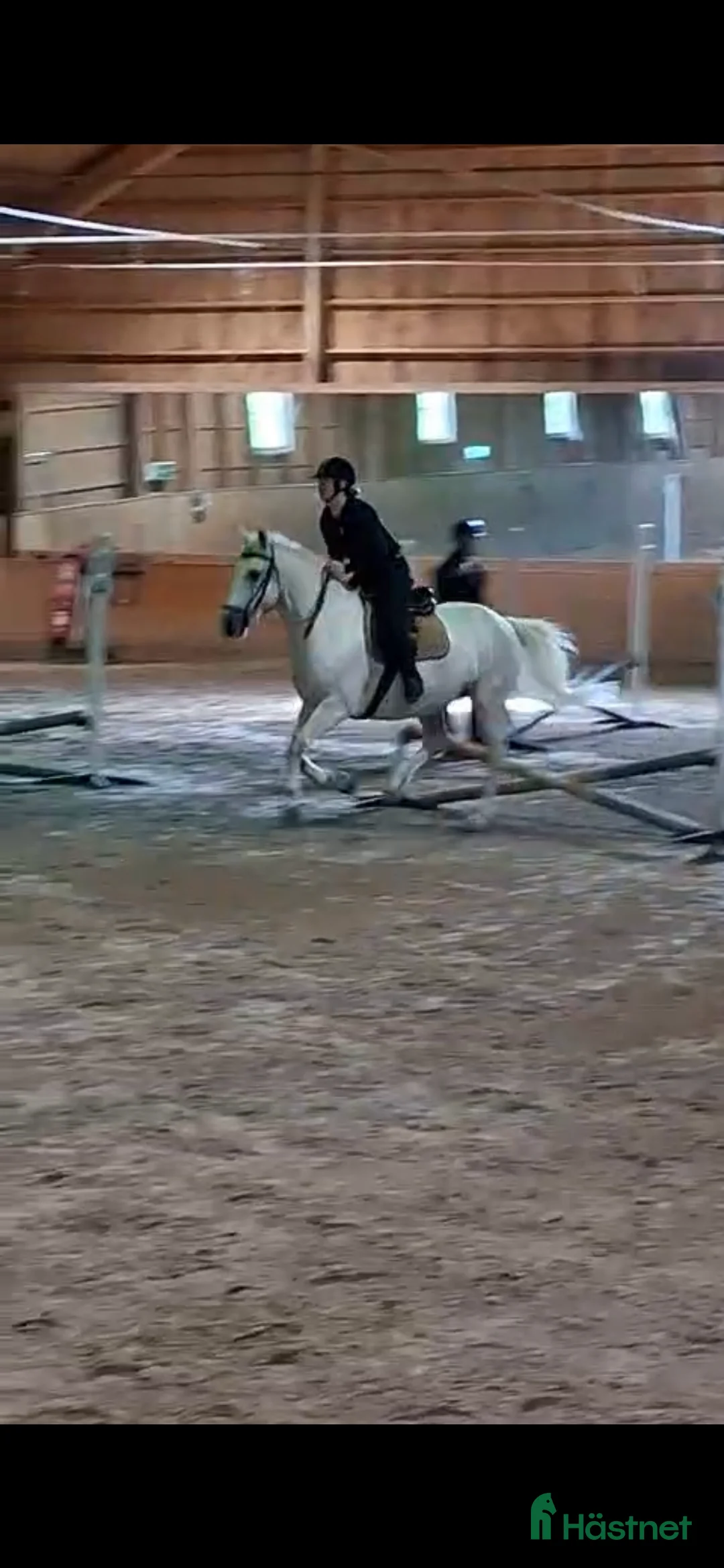  medryttarhäst sökes: Söker medryttarhäst i gbg i Mölndal - Annons 1