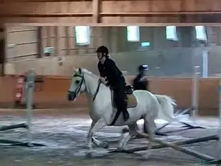 medryttarhäst sökes: Söker medryttarhäst i gbg i Mölndal - Annons 11