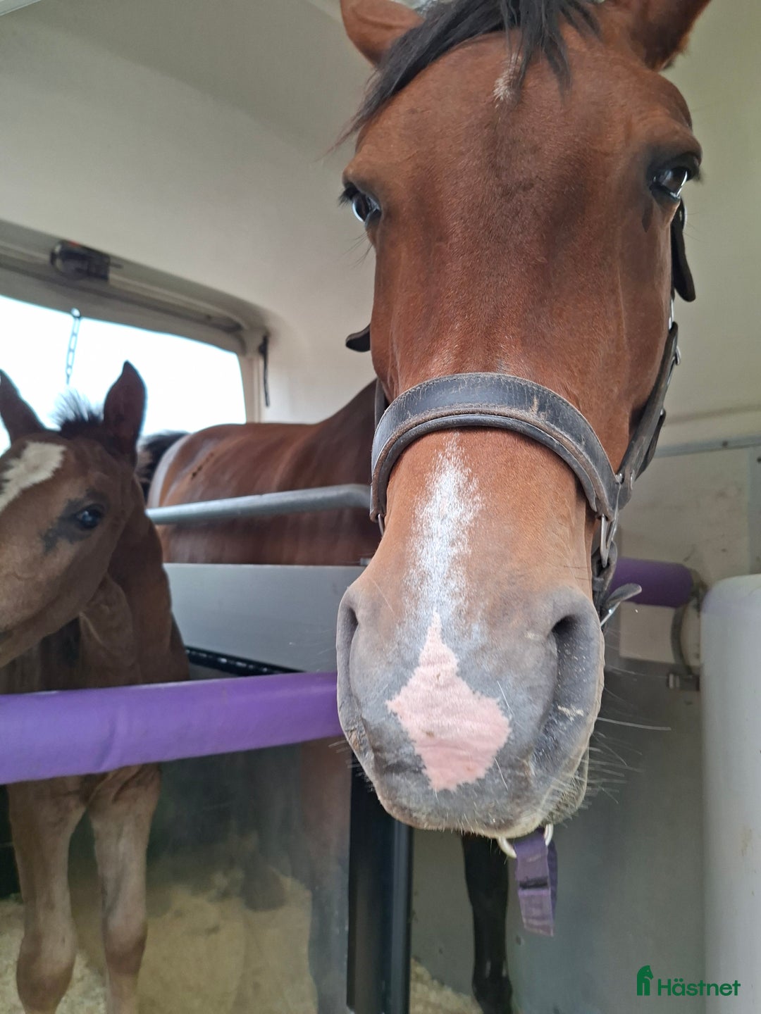 Övrig utrustning övrig utrustning till salu: Uteboxar sökes i Katrineholm - Annons 1